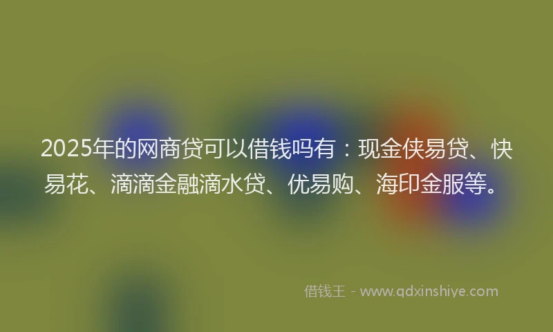 2025年的网商贷可以借钱吗有：现金侠易贷、快易花、滴滴金融滴水贷、优易购、海印金服等。