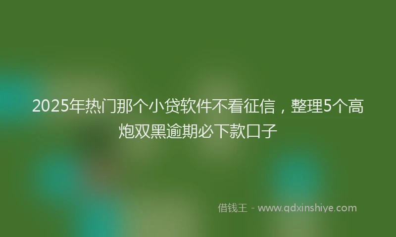 2025年热门那个小贷软件不看征信，整理5个高炮双黑逾期必下款口子