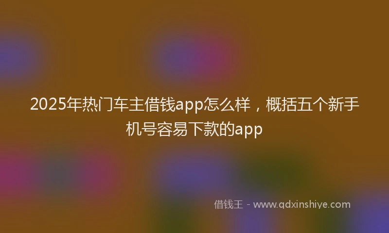 2025年热门车主借钱app怎么样，概括五个新手机号容易下款的app