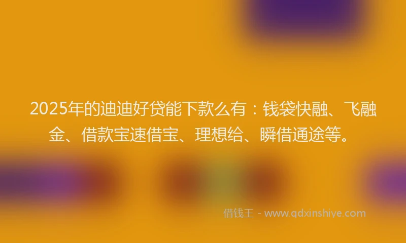 2025年的迪迪好贷能下款么有：钱袋快融、飞融金、借款宝速借宝、理想给、瞬借通途等。