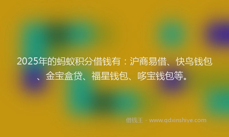 2025年的蚂蚁积分借钱有：沪商易借、快鸟钱包、金宝盒贷、福星钱包、哆宝钱包等。