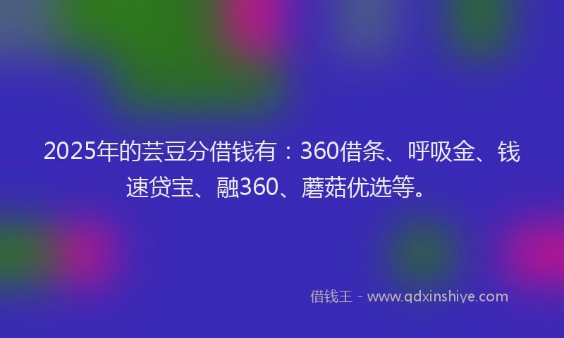 2025年的芸豆分借钱有：360借条、呼吸金、钱速贷宝、融360、蘑菇优选等。
