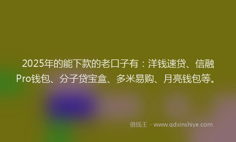 2025年的能下款的老口子有：洋钱速贷、信融Pro钱包、分子贷宝盒、多米易购、月亮钱包等。