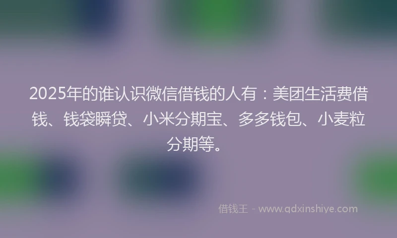 2025年的谁认识微信借钱的人有：美团生活费借钱、钱袋瞬贷、小米分期宝、多多钱包、小麦粒分期等。