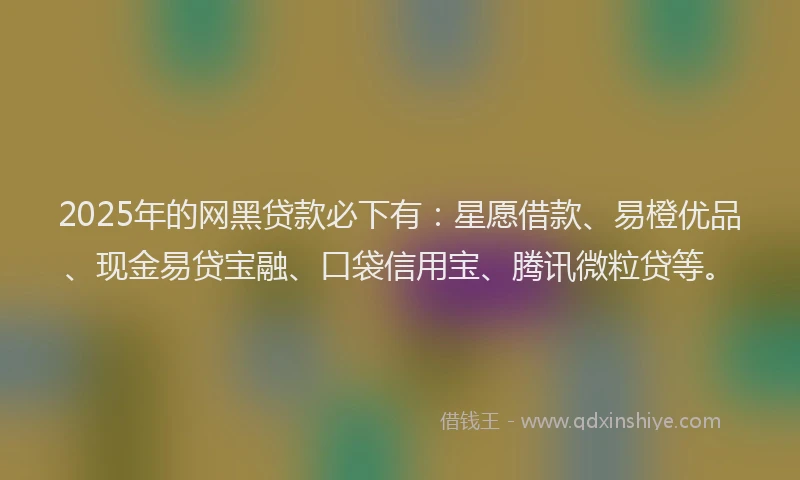2025年的网黑贷款必下有：星愿借款、易橙优品、现金易贷宝融、口袋信用宝、腾讯微粒贷等。