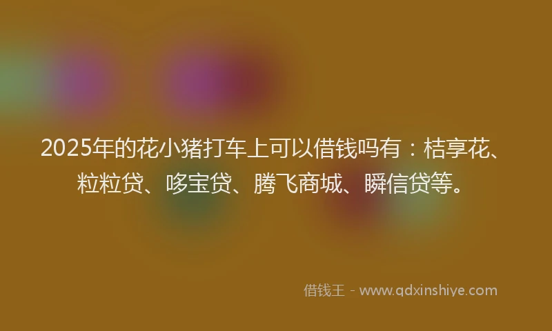 2025年的花小猪打车上可以借钱吗有：桔享花、粒粒贷、哆宝贷、腾飞商城、瞬信贷等。