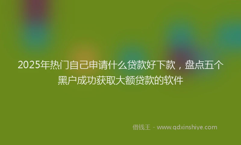 2025年热门自己申请什么贷款好下款，盘点五个黑户成功获取大额贷款的软件