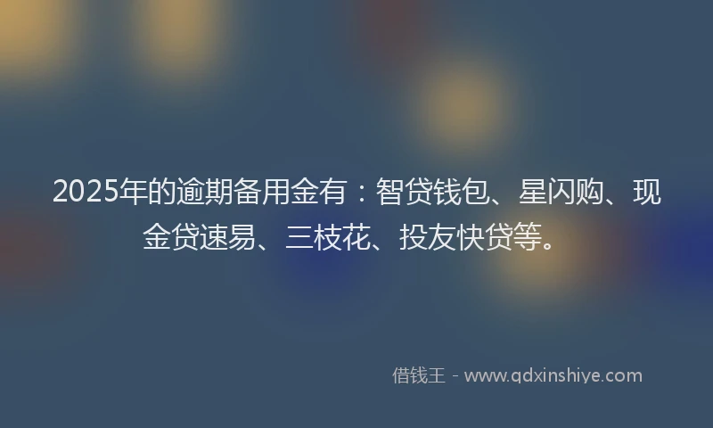 2025年的逾期备用金有：智贷钱包、星闪购、现金贷速易、三枝花、投友快贷等。