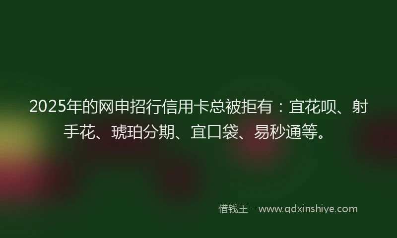 2025年的网申招行信用卡总被拒有：宜花呗、射手花、琥珀分期、宜口袋、易秒通等。