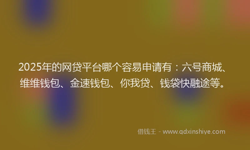 2025年的网贷平台哪个容易申请有：六号商城、维维钱包、金速钱包、你我贷、钱袋快融途等。