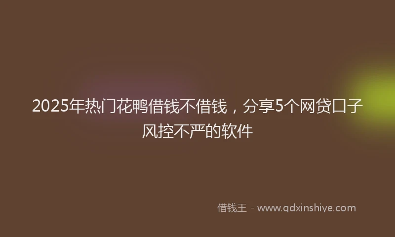 2025年热门花鸭借钱不借钱，分享5个网贷口子风控不严的软件