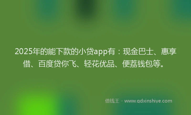 2025年的能下款的小贷app有：现金巴士、惠享借、百度贷你飞、轻花优品、便荔钱包等。
