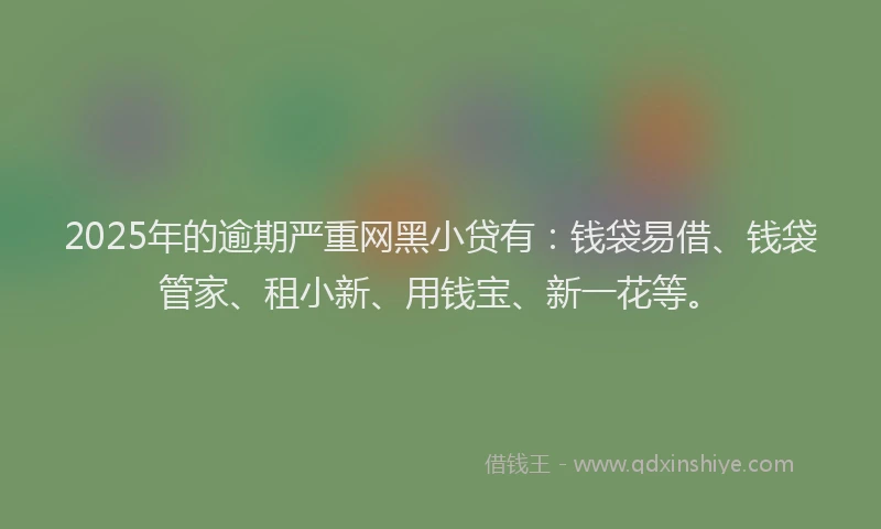 2025年的逾期严重网黑小贷有：钱袋易借、钱袋管家、租小新、用钱宝、新一花等。
