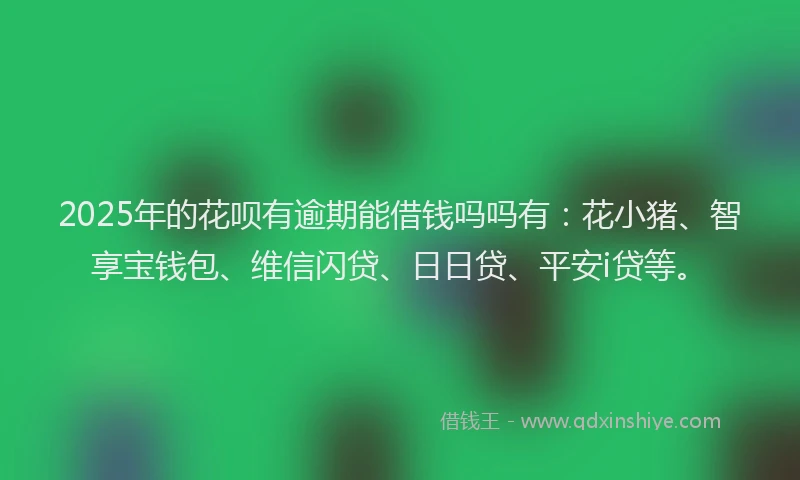 2025年的花呗有逾期能借钱吗吗有：花小猪、智享宝钱包、维信闪贷、日日贷、平安i贷等。