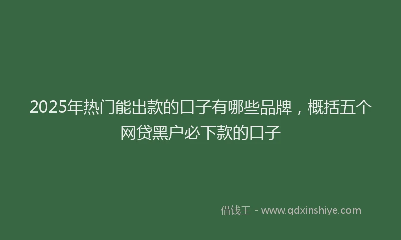 2025年热门能出款的口子有哪些品牌，概括五个网贷黑户必下款的口子