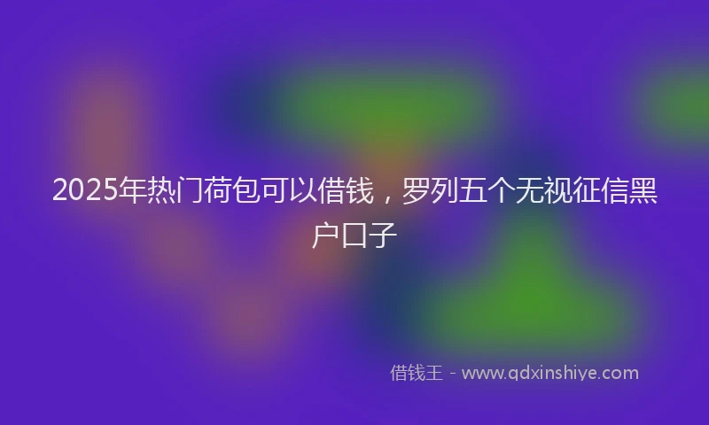 2025年热门荷包可以借钱，罗列五个无视征信黑户口子