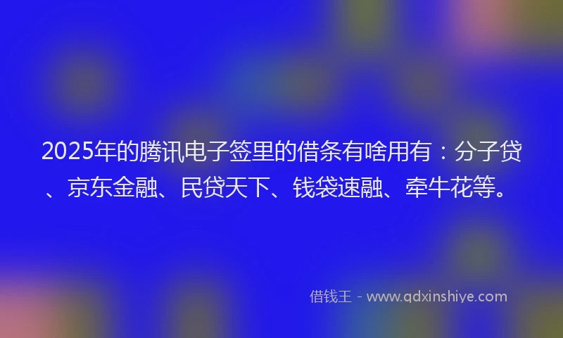 2025年的腾讯电子签里的借条有啥用有：分子贷、京东金融、民贷天下、钱袋速融、牵牛花等。