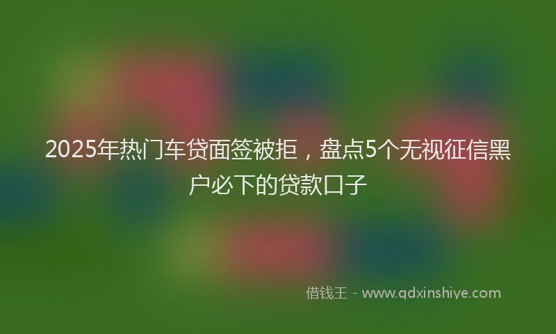 2025年热门车贷面签被拒，盘点5个无视征信黑户必下的贷款口子