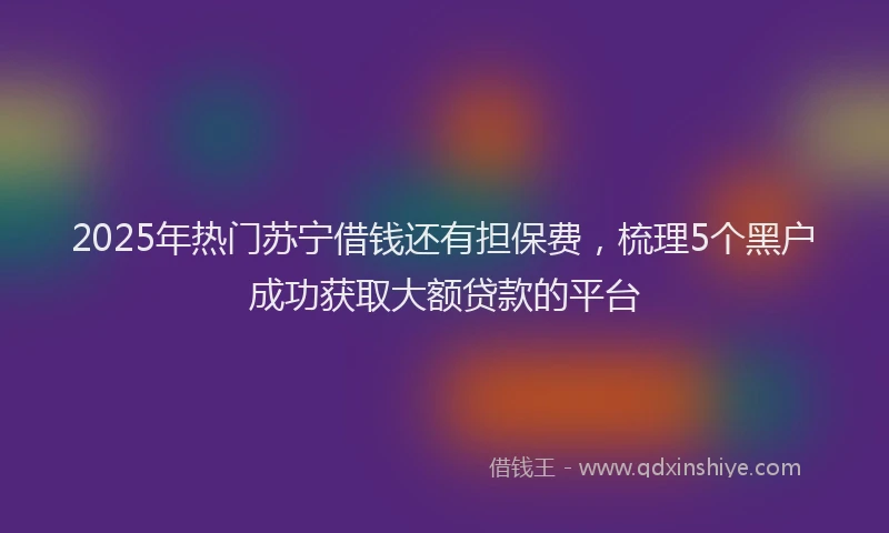 2025年热门苏宁借钱还有担保费，梳理5个黑户成功获取大额贷款的平台