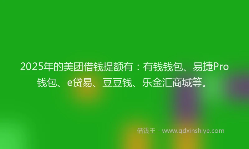 2025年的美团借钱提额有：有钱钱包、易捷Pro钱包、e贷易、豆豆钱、乐金汇商城等。