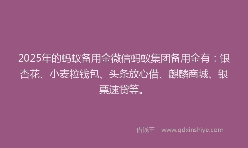 2025年的蚂蚁备用金微信蚂蚁集团备用金有：银杏花、小麦粒钱包、头条放心借、麒麟商城、银票速贷等。