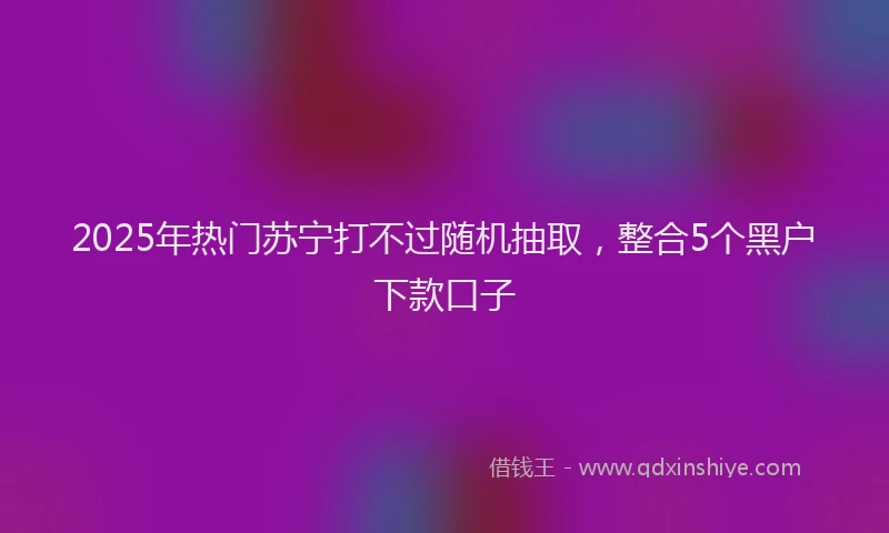 2025年热门苏宁打不过随机抽取，整合5个黑户下款口子