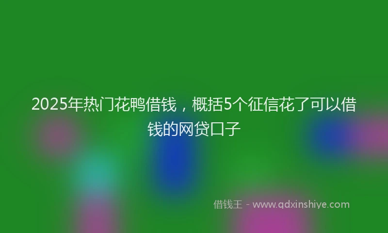 2025年热门花鸭借钱，概括5个征信花了可以借钱的网贷口子