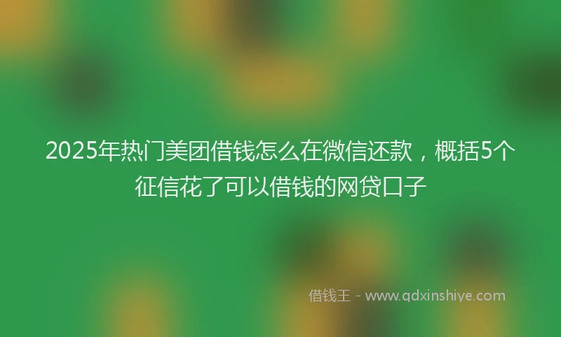 2025年热门美团借钱怎么在微信还款，概括5个征信花了可以借钱的网贷口子