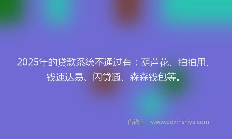 2025年的贷款系统不通过有：葫芦花、拍拍用、钱速达易、闪贷通、森森钱包等。