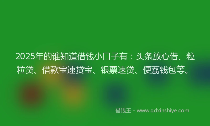 2025年的谁知道借钱小口子有：头条放心借、粒粒贷、借款宝速贷宝、银票速贷、便荔钱包等。