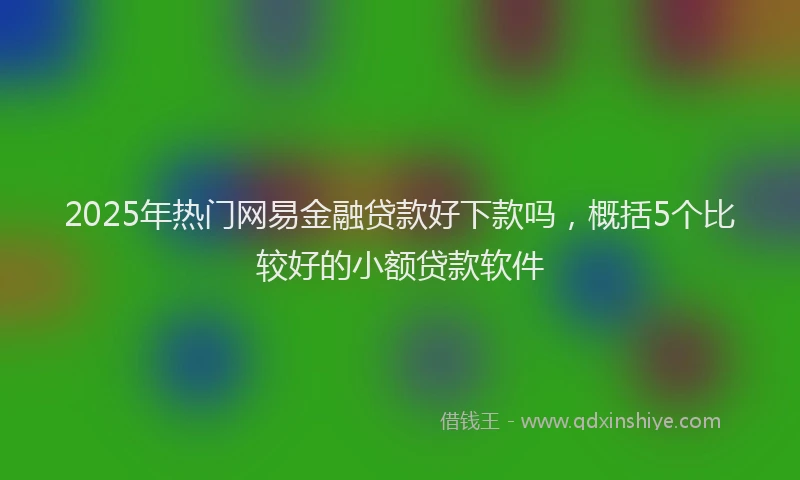2025年热门网易金融贷款好下款吗，概括5个比较好的小额贷款软件