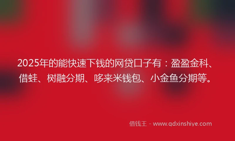 2025年的能快速下钱的网贷口子有：盈盈金科、借蛙、树融分期、哆来米钱包、小金鱼分期等。
