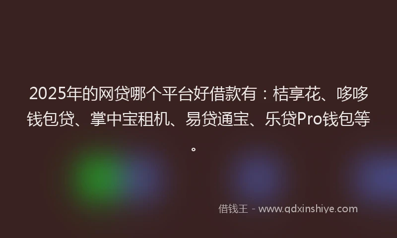 2025年的网贷哪个平台好借款有：桔享花、哆哆钱包贷、掌中宝租机、易贷通宝、乐贷Pro钱包等。