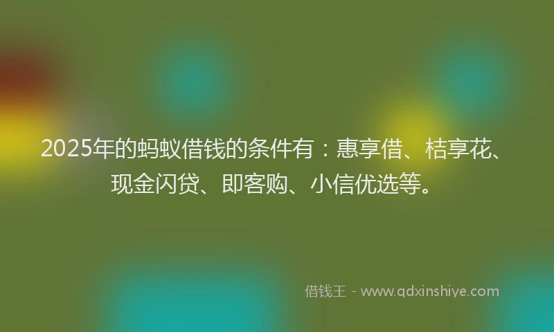2025年的蚂蚁借钱的条件有：惠享借、桔享花、现金闪贷、即客购、小信优选等。