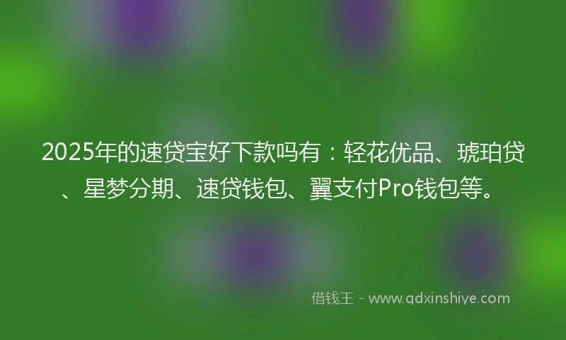 2025年的速贷宝好下款吗有：轻花优品、琥珀贷、星梦分期、速贷钱包、翼支付Pro钱包等。