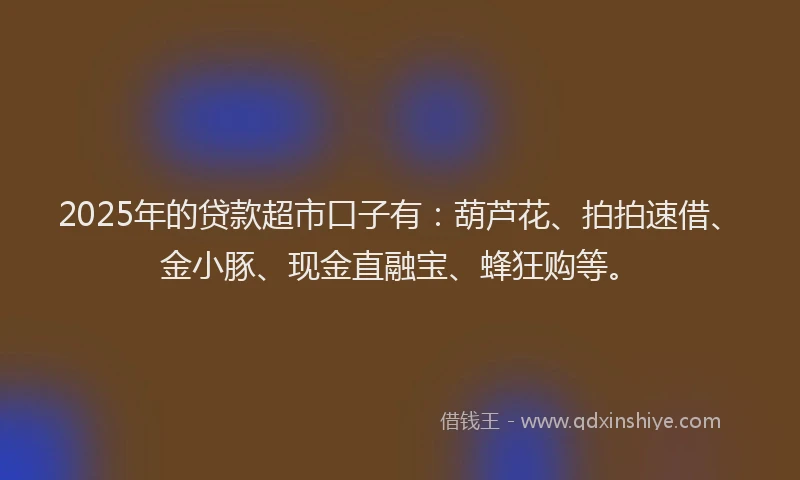 2025年的贷款超市口子有：葫芦花、拍拍速借、金小豚、现金直融宝、蜂狂购等。