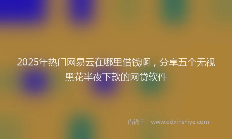 2025年热门网易云在哪里借钱啊，分享五个无视黑花半夜下款的网贷软件