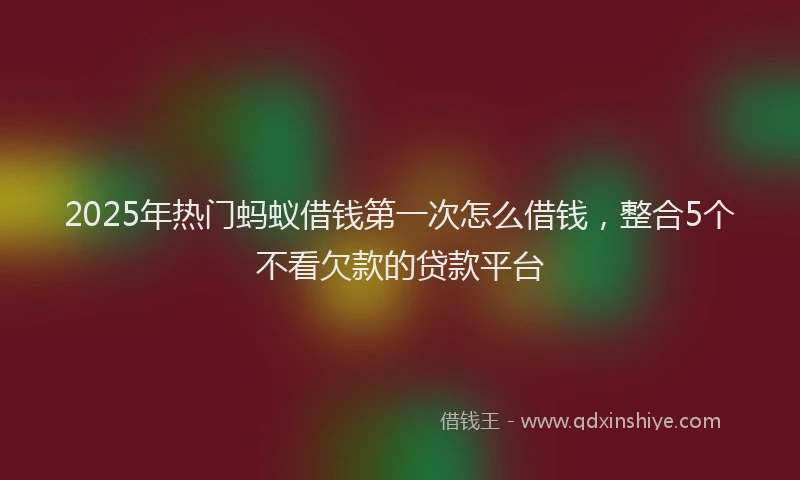 2025年热门蚂蚁借钱第一次怎么借钱，整合5个不看欠款的贷款平台