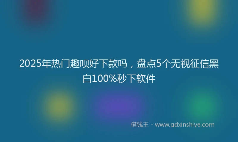 2025年热门趣呗好下款吗，盘点5个无视征信黑白100%秒下软件