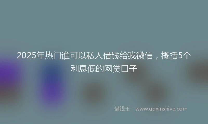 2025年热门谁可以私人借钱给我微信，概括5个利息低的网贷口子