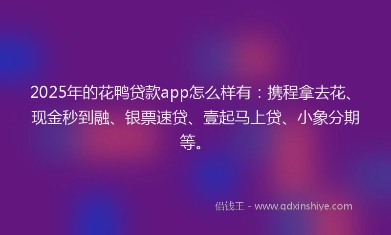 2025年的花鸭贷款app怎么样有：携程拿去花、现金秒到融、银票速贷、壹起马上贷、小象分期等。