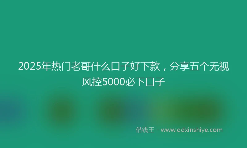 2025年热门老哥什么口子好下款，分享五个无视风控5000必下口子