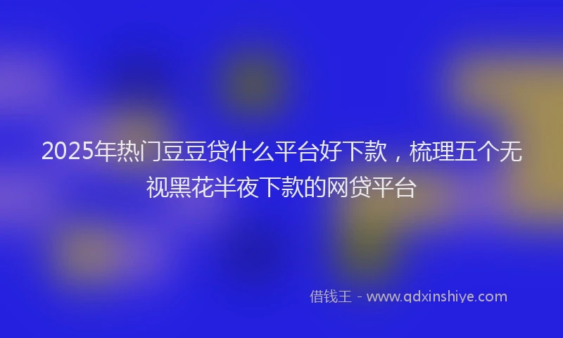 2025年热门豆豆贷什么平台好下款，梳理五个无视黑花半夜下款的网贷平台