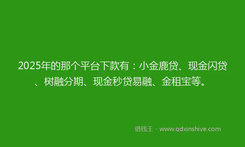 2025年的那个平台下款有：小金鹿贷、现金闪贷、树融分期、现金秒贷易融、金租宝等。