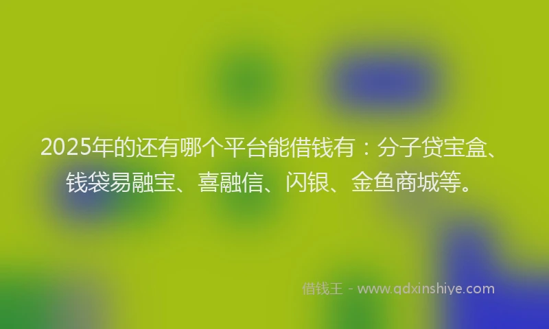 2025年的还有哪个平台能借钱有：分子贷宝盒、钱袋易融宝、喜融信、闪银、金鱼商城等。