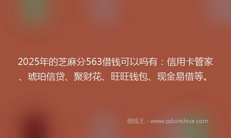 2025年的芝麻分563借钱可以吗有：信用卡管家、琥珀信贷、聚财花、旺旺钱包、现金易借等。