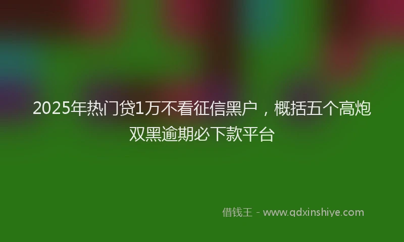 2025年热门贷1万不看征信黑户，概括五个高炮双黑逾期必下款平台