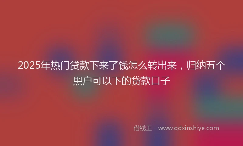 2025年热门贷款下来了钱怎么转出来，归纳五个黑户可以下的贷款口子