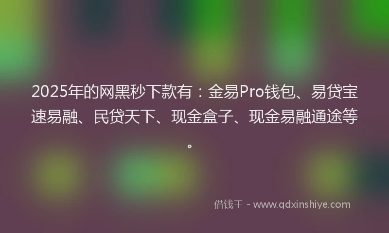 2025年的网黑秒下款有：金易Pro钱包、易贷宝速易融、民贷天下、现金盒子、现金易融通途等。