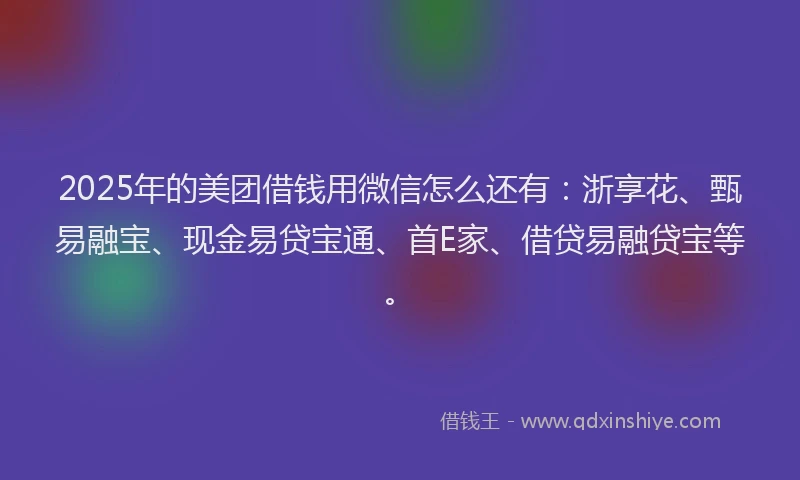 2025年的美团借钱用微信怎么还有：浙享花、甄易融宝、现金易贷宝通、首E家、借贷易融贷宝等。